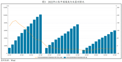 2024年全国规模以上