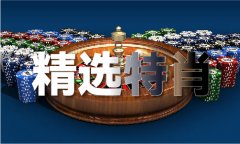 种“忠实度”可能
